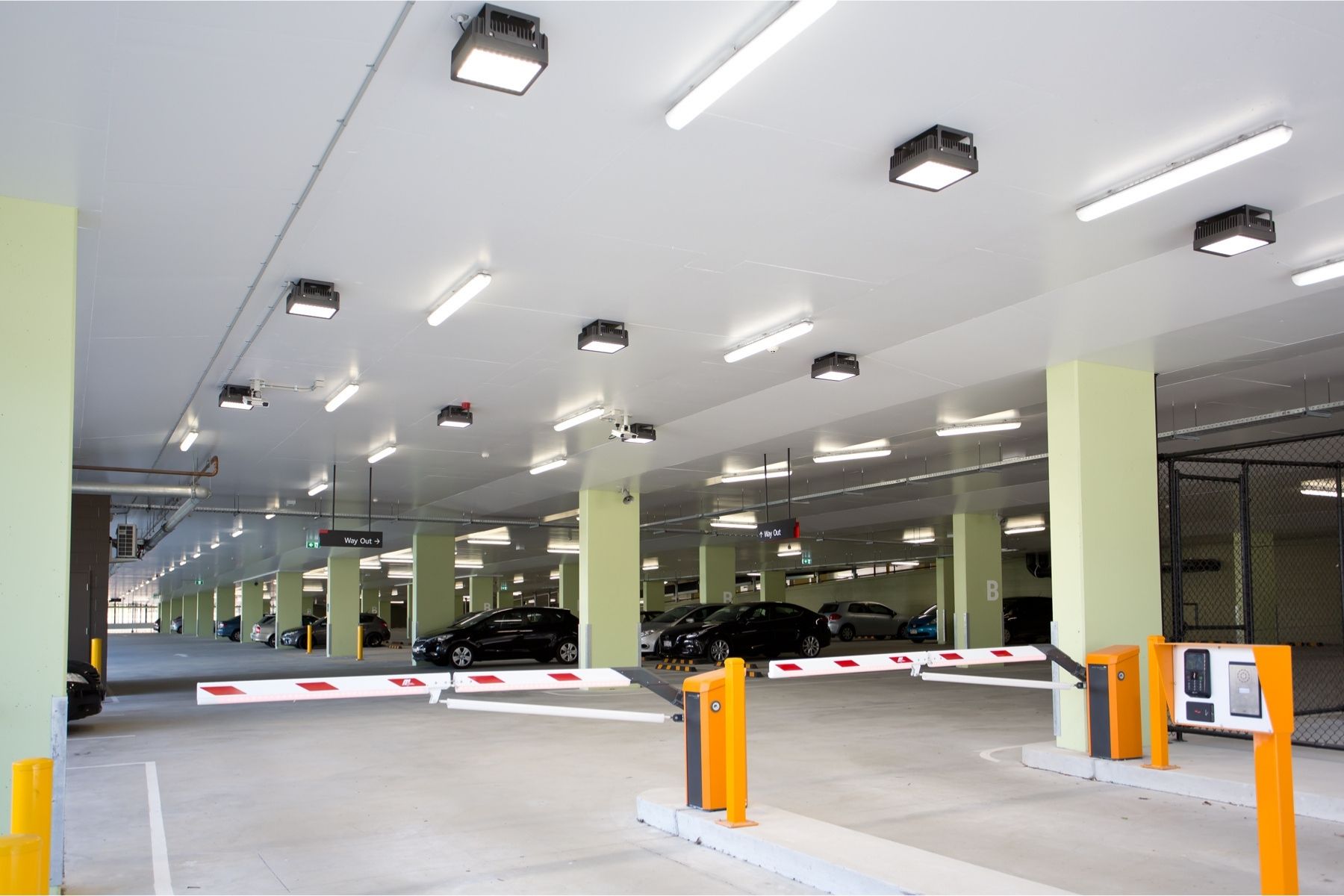 Raylinc Griffith University (2)