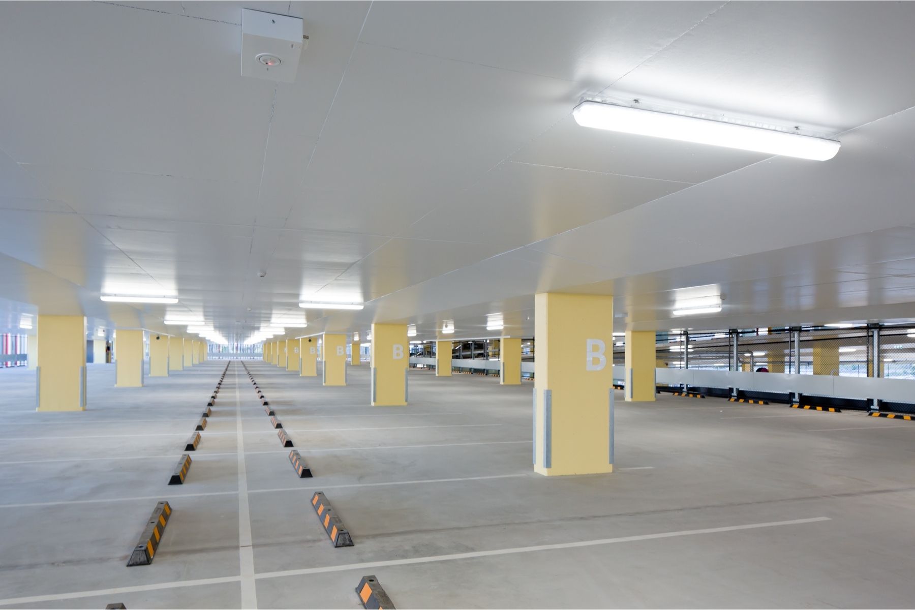 Raylinc Griffith University (4)