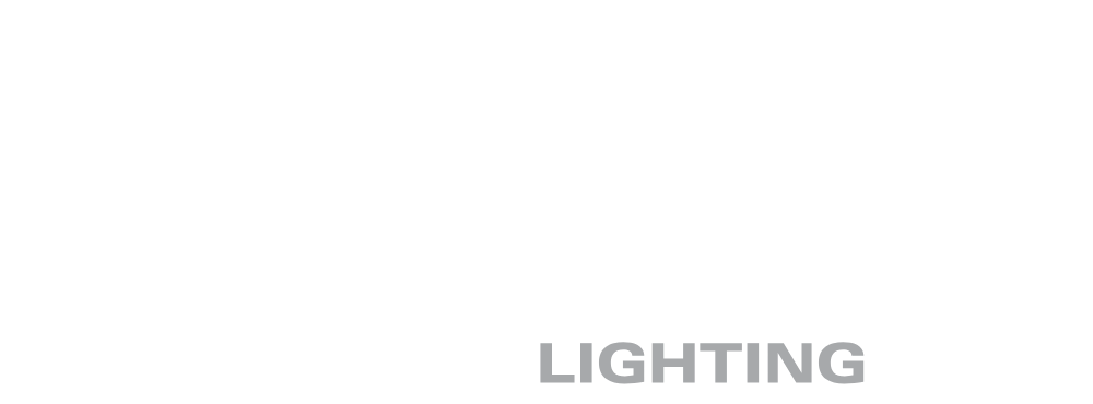 Raylinc Logo White