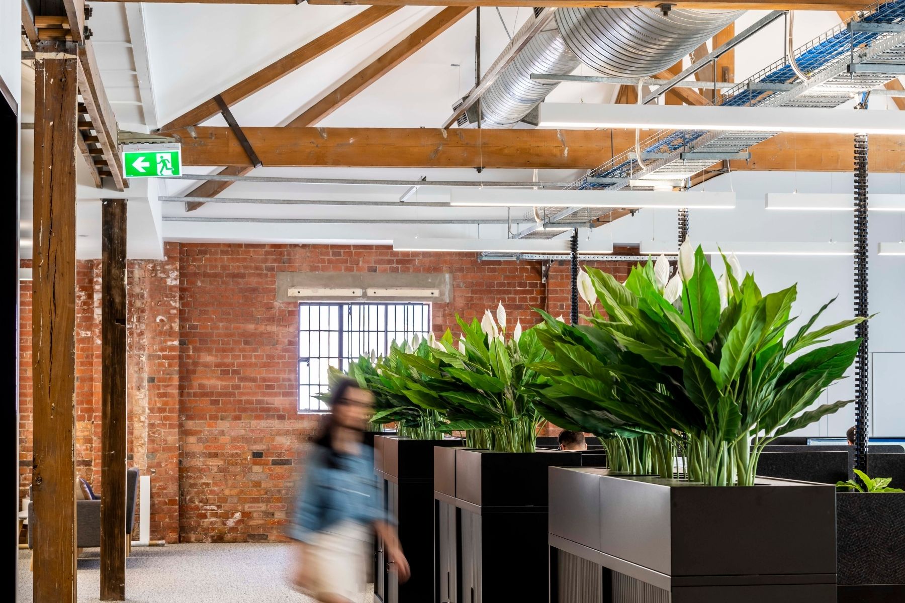 Raylinc Porter Davis Showroom (2)